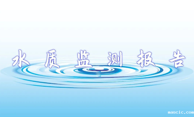 2024年6月份水务公司管网水上半月水质信...